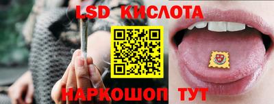 PSILOCYBIN Бугуруслан