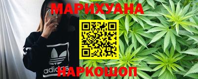 прущие грибы Будённовск