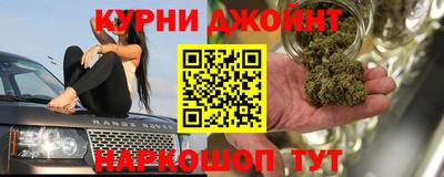 прущие грибы Будённовск