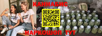 прущие грибы Будённовск