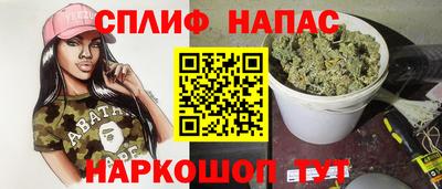 прущие грибы Будённовск